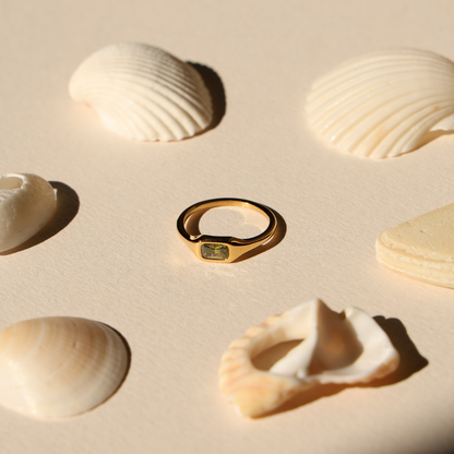 Anillo Laguna