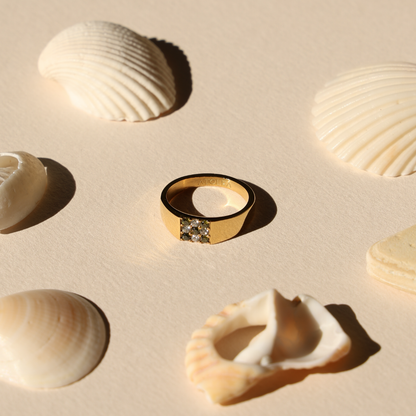 Anillo Tulum