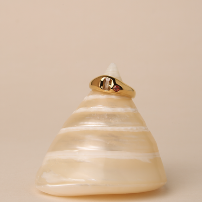 Anillo de Mango