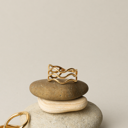 Anillo Oceánico