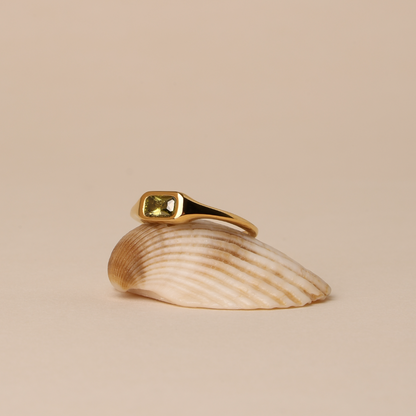 Anillo Laguna