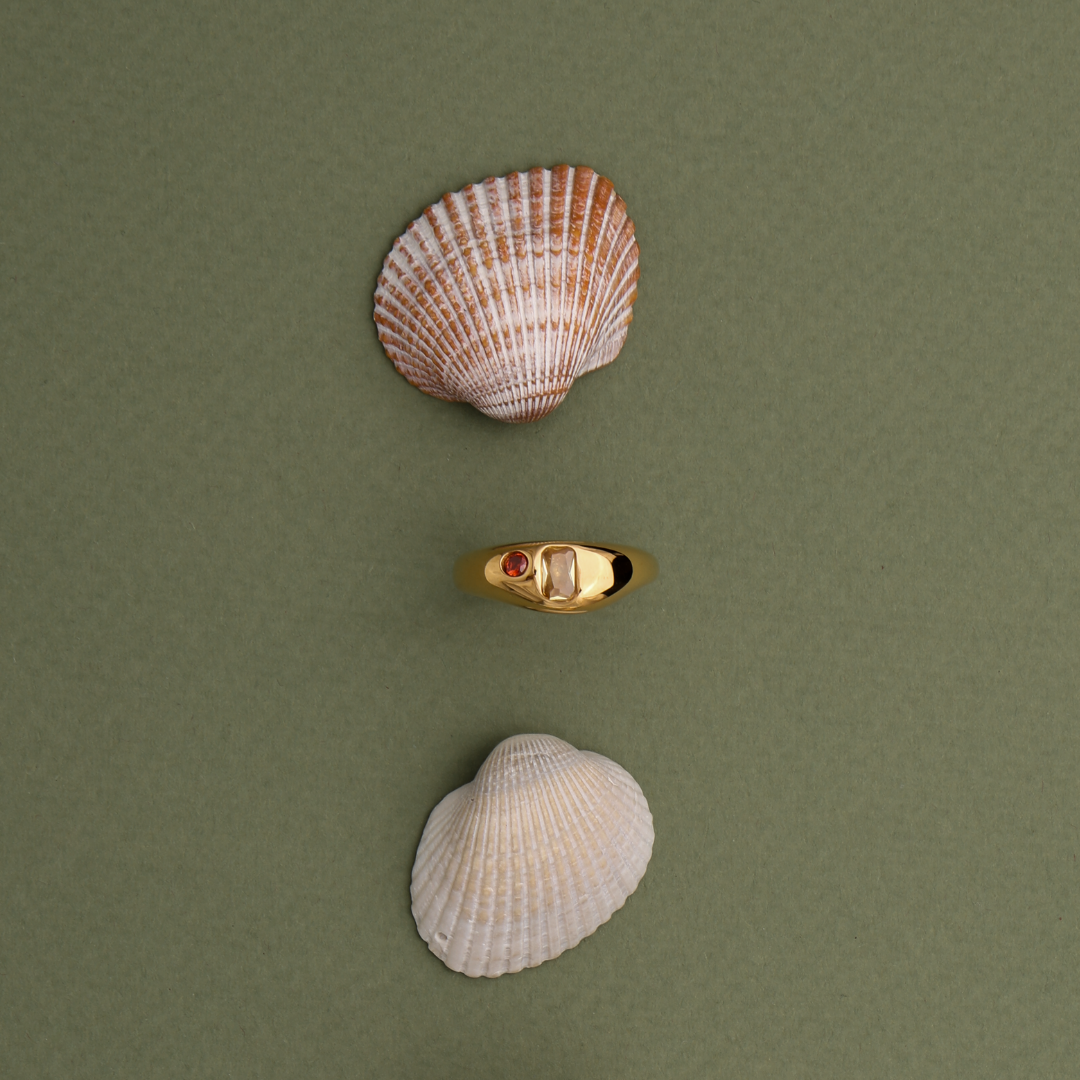 Anillo de Mango
