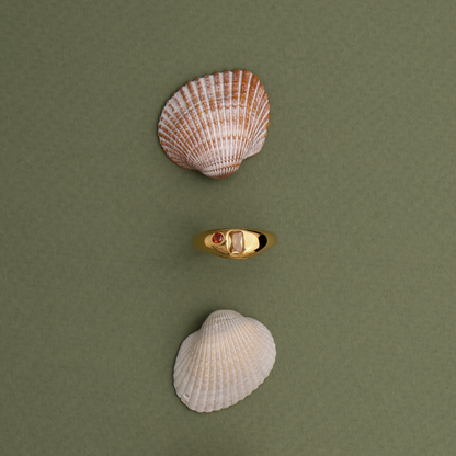 Anillo de Mango