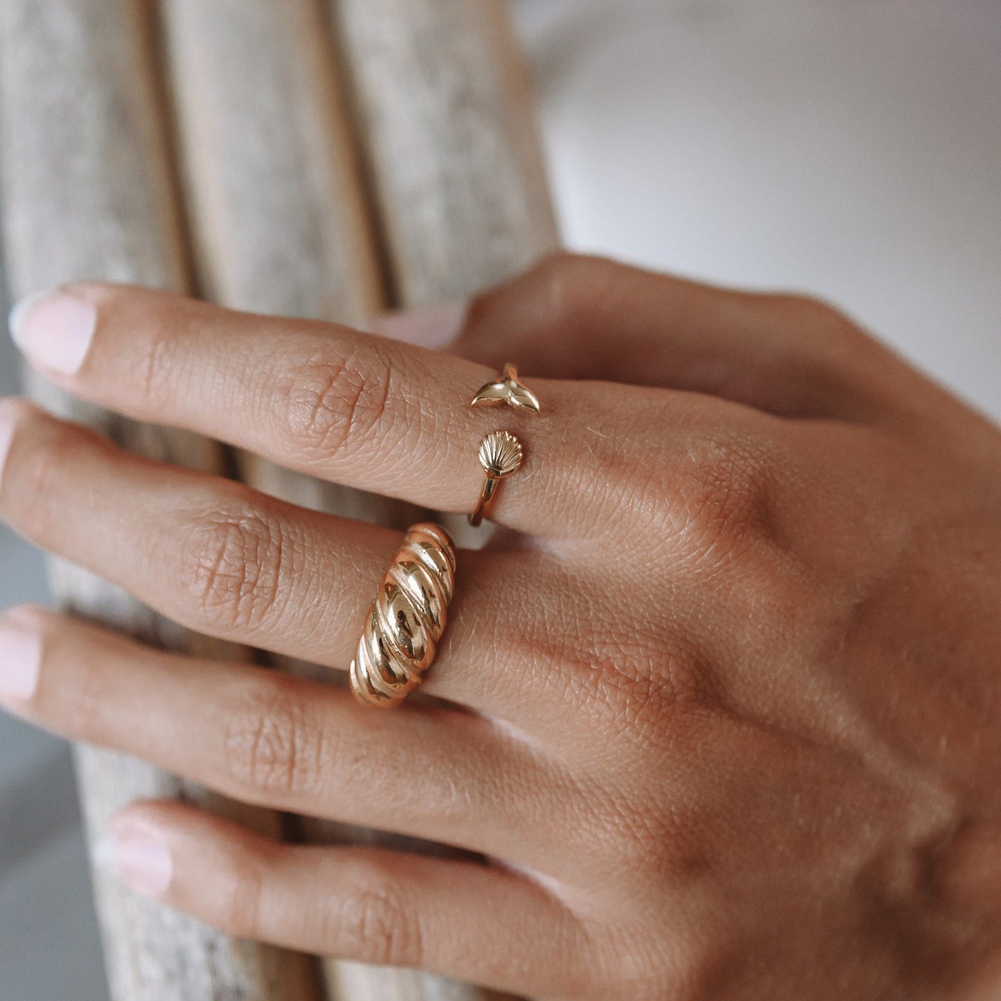 Anillo insular