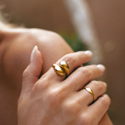 Anillo Doble Giro