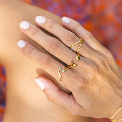 Anillo insular