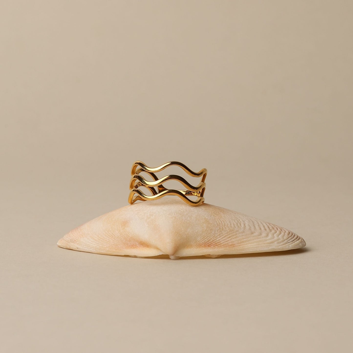 Anillo Oceánico