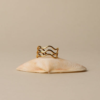 Anillo Oceánico