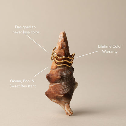 Anillo Oceánico