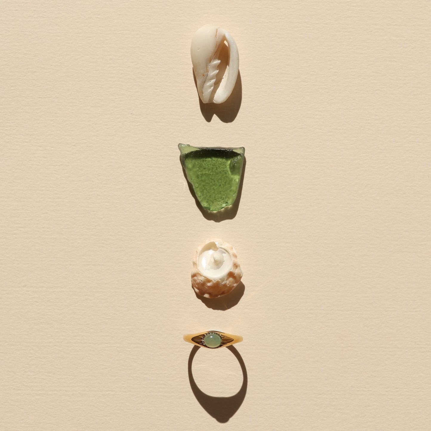 Anillo Oasis