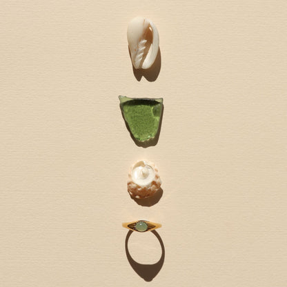 Anillo Oasis
