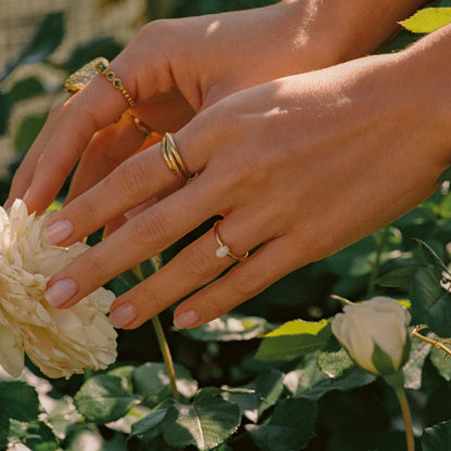 Anillo de lazos