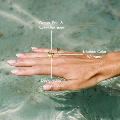 Anillo Odisea