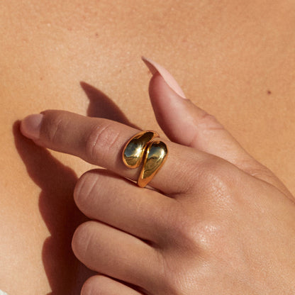 Anillo Doble Giro