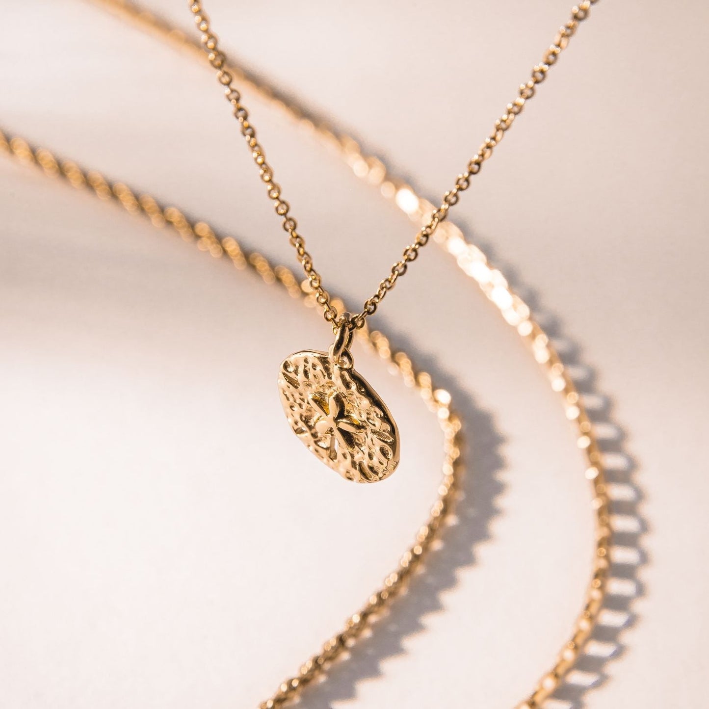 Collar de dólar de arena