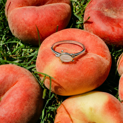Anillo de tortuga marina