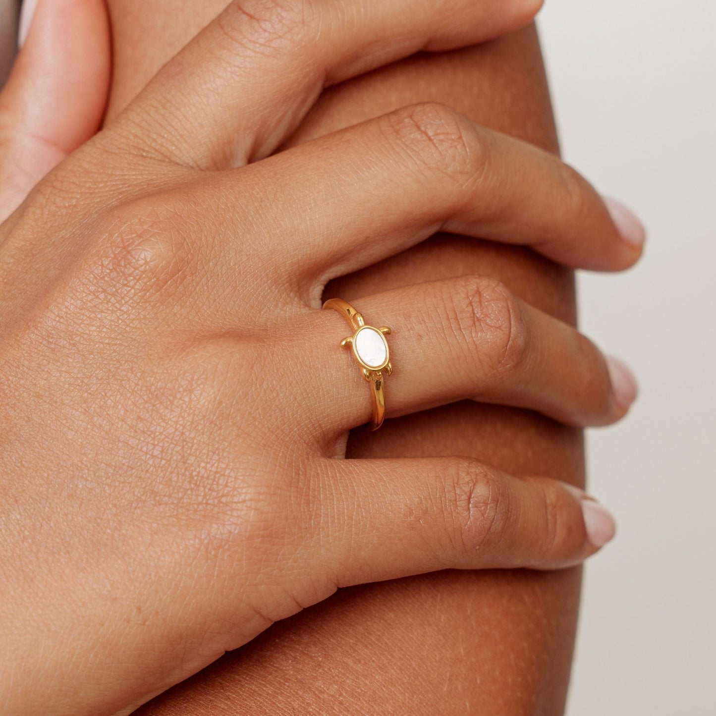 Anillo de tortuga marina