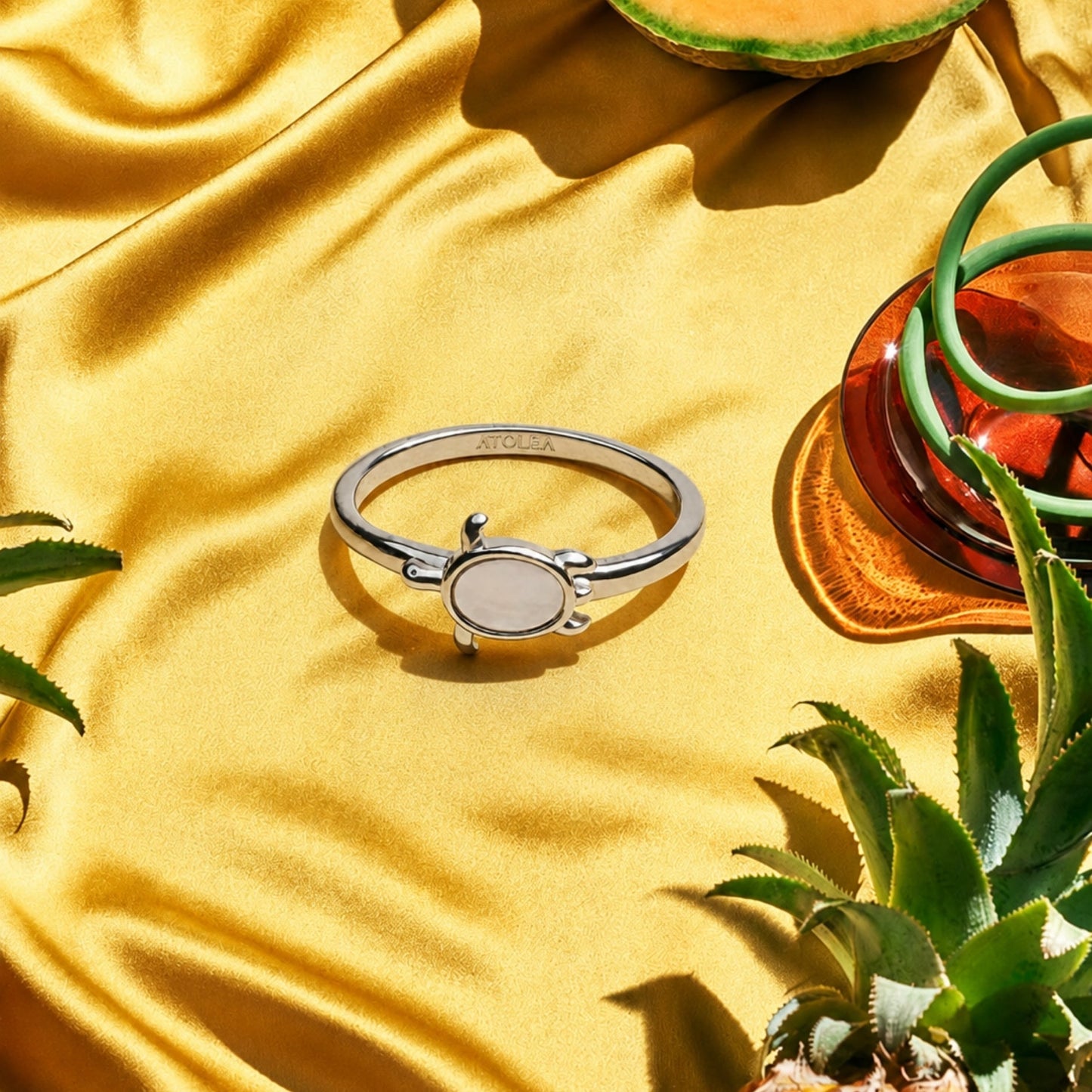 Anillo de tortuga marina