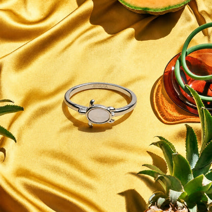 Anillo de tortuga marina