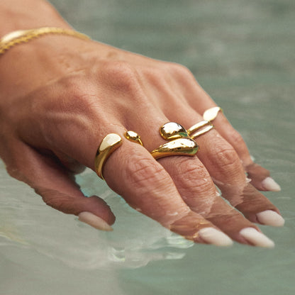 Anillo Doble Giro