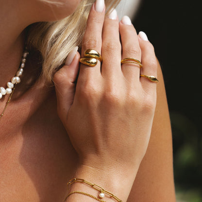 Anillo Doble Giro