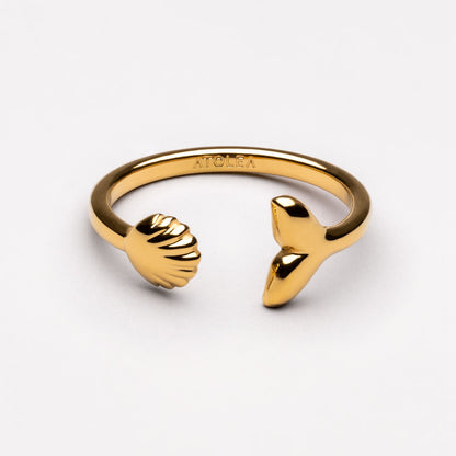 Anillo insular